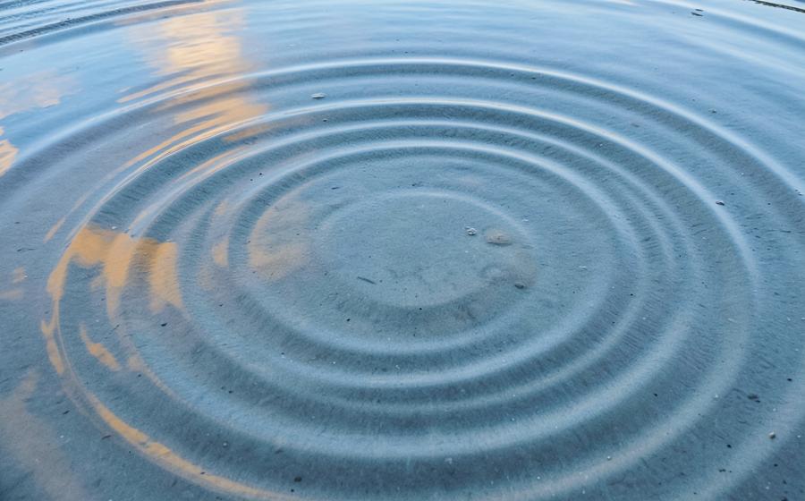 Soft concentric ripples in a coastal tide pool